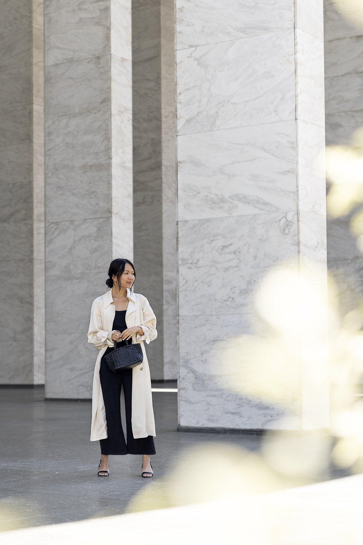 Babaton Carson Trench Coat